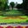 University of Minnesota-Twin Cities
