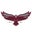 University of Maryland Eastern Shore