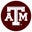 Texas A & M University-College Station