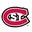 Saint Cloud State University