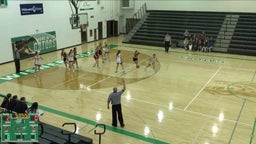 Tekamah-Herman girls basketball highlights Madison High School