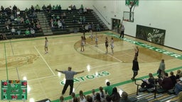 Tekamah-Herman girls basketball highlights Wisner - Pilger High School