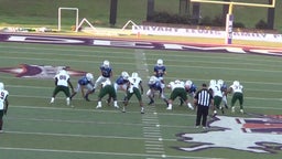 St. Mary football highlights Lakeview High School