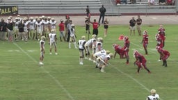 Plant football highlights Hillsborough Terriers