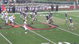 Baldwin football highlights vs. Spring Hill High