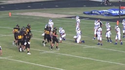 Cayuga football highlights Wortham High School