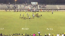 Worth County football highlights Harris County High School