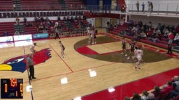 Pleasant Plains basketball highlights Unity High School