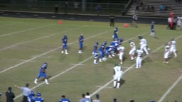 Darrian Mcneal's highlights vs. Sickles