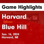 Basketball Game Preview: Blue Hill Bobcats vs. Heartland Lutheran Red Hornets