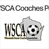 Wisconsin high school soccer: Week 2 WSCA boys soccer rankings