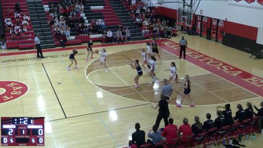 Danica Gosz Game Report: @ Brookfield Central