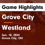 Basketball Game Preview: Grove City Greyhounds vs. Newark Wildcats
