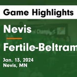 Basketball Game Recap: Fertile-Beltrami Falcons vs. Cherry Tigers