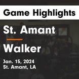 Basketball Game Recap: St. Amant Gators vs. Walker Wildcats