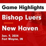 Fort Wayne Bishop Luers piles up the points against Mishawaka Marian