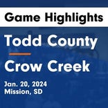 Basketball Game Recap: Crow Creek Chieftains vs. Pine Ridge Thorpes