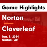 Basketball Game Preview: Norton Panthers vs. Woodridge Bulldogs