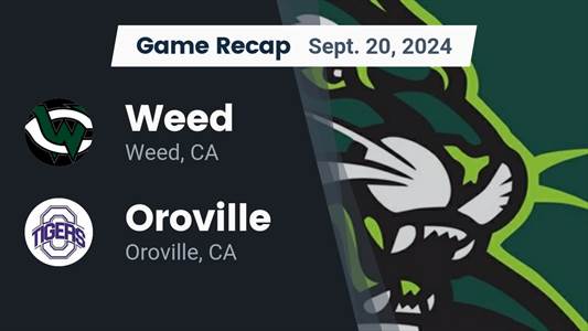 Football Game Preview: Weed Cougars vs. Mt. Shasta Bears