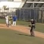 Video: Umpire dances during baseball game