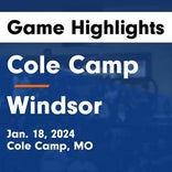 Basketball Game Preview: Cole Camp Blue Birds vs. Stover Bulldogs