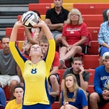 Ohio weekly volleyball awards