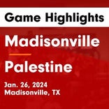 Basketball Game Recap: Palestine Wildcats vs. Madisonville Mustangs