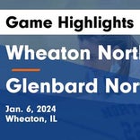 Basketball Game Recap: Glenbard North Panthers vs. St. Francis Spartans