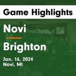 Basketball Game Preview: Novi Wildcats vs. Northville Mustangs