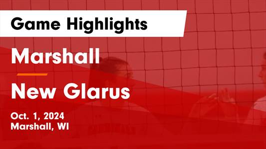 Volleyball Recap: New Glarus Falls Despite Big Games from  Vivia
