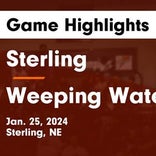 Basketball Recap: Sterling falls despite strong effort from  Colin Wambold