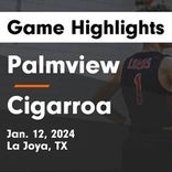 Basketball Game Recap: Cigarroa Toros vs. Palmview Lobos