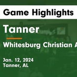 Basketball Game Recap: Whitesburg Christian Academy Warriors vs. Winston County Yellowjackets