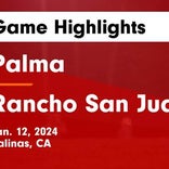 Soccer Game Preview: Palma vs. Pajaro Valley