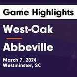 Soccer Game Preview: Abbeville vs. Ninety Six