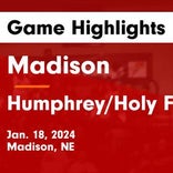 Basketball Game Preview: Madison Dragons vs. Central City Bison
