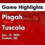 Basketball Game Recap: Tuscola Mountaineers vs. Pisgah Bears