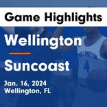 Suncoast takes loss despite strong efforts from  Jamarey Harris and  Ian Smikle