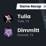 Football Game Recap: Tulia Hornets vs. Dimmitt Bobcats 