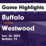 Basketball Game Preview: Buffalo Bison vs. Mexia Black Cats