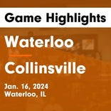 Basketball Game Preview: Waterloo Bulldogs vs. Marissa/Coulterville Meteors
