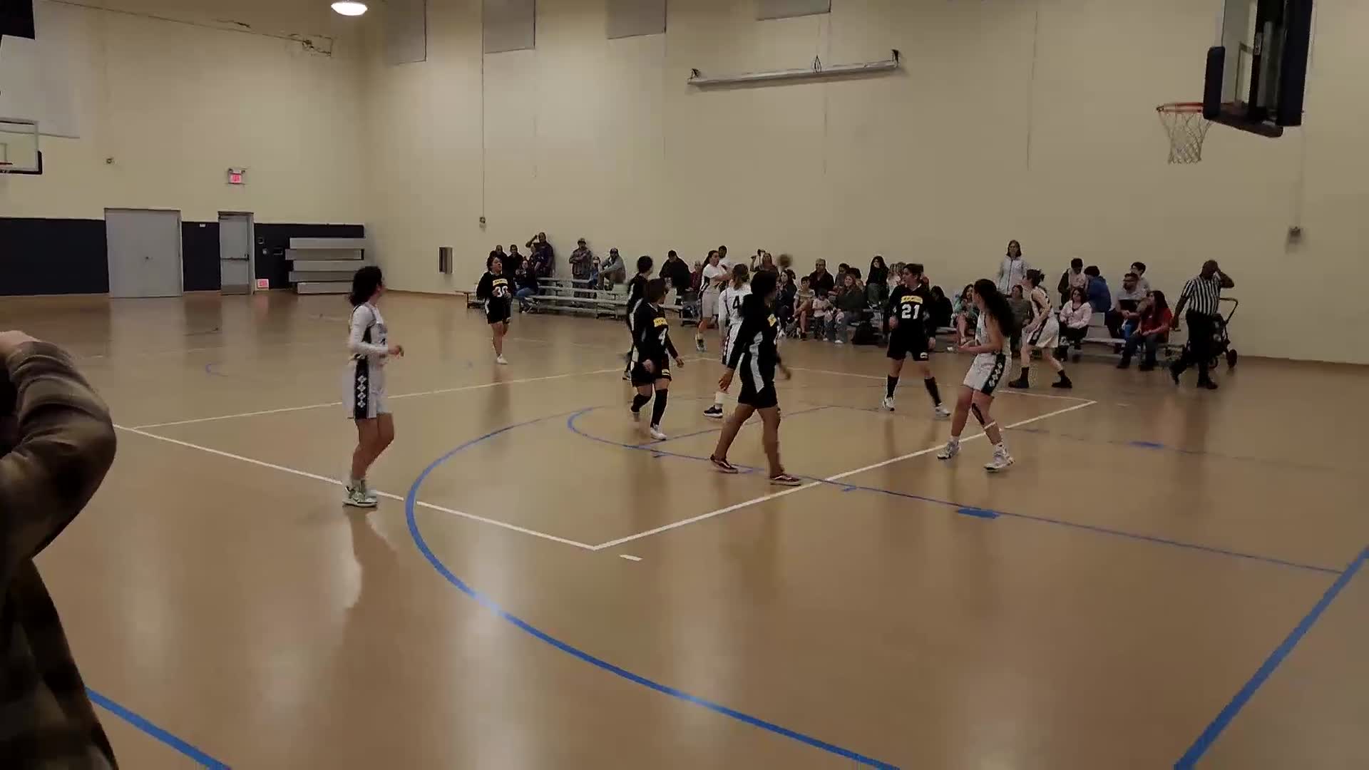 Basketball Recap: London Afalava commands the offense for Stingrays win