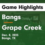 Basketball Game Recap: Bangs Dragons vs. Hamilton Bulldogs