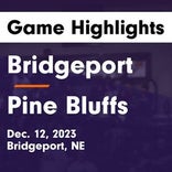 Basketball Game Recap: Pine Bluffs Hornets vs. Southeast Cyclones
