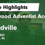 Basketball Game Recap: Woodville Panthers vs. Oakwood Academy Mustangs