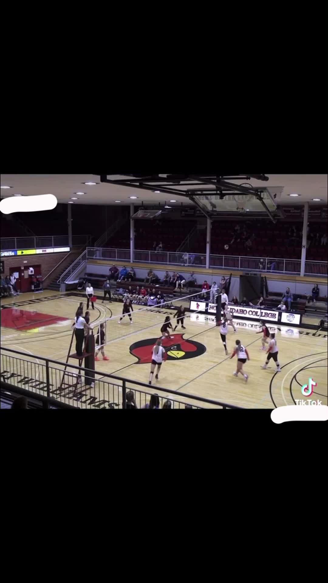 Volleyball Recap: Three Straight Home  Wins for Wallace