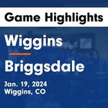Basketball Game Recap: Briggsdale Falcons vs. Caliche Buffaloes