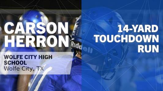 Baseball Game Preview: Wolfe City Wolves vs. Cooper Bulldogs