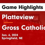 Basketball Game Recap: Platteview Trojans vs. Ashland-Greenwood Bluejays