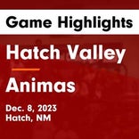 Basketball Game Preview: Hatch Valley Bears vs. Ruidoso Warriors